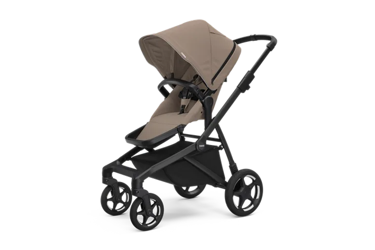 Thule Sleek